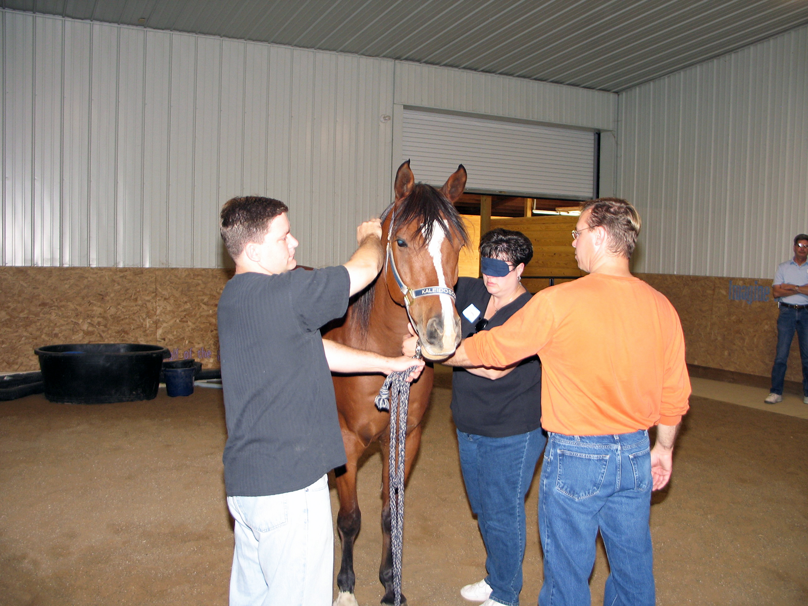 Looking towards Barn - rolldown door to keeps in heat