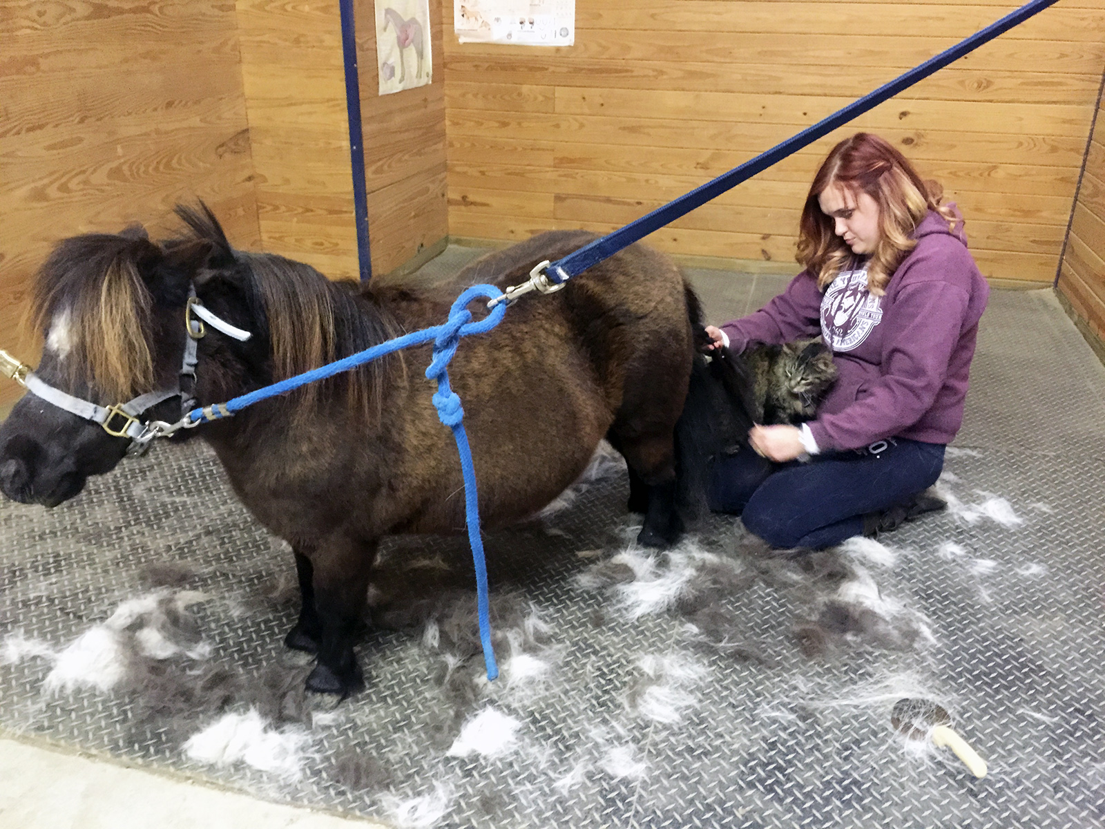 Tie Stall with furry Minnie
