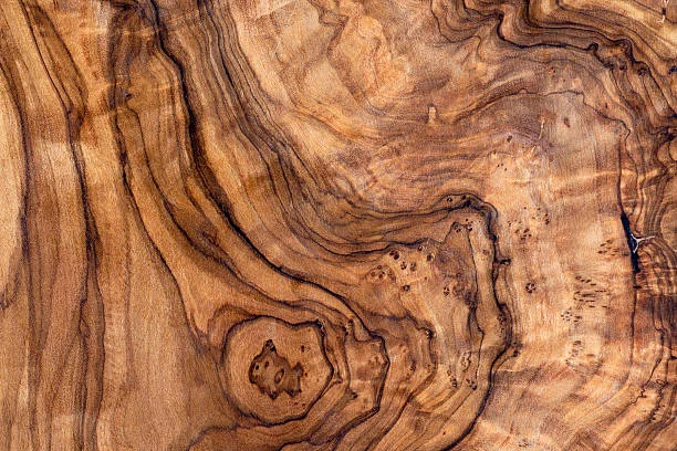 481394584.jpg