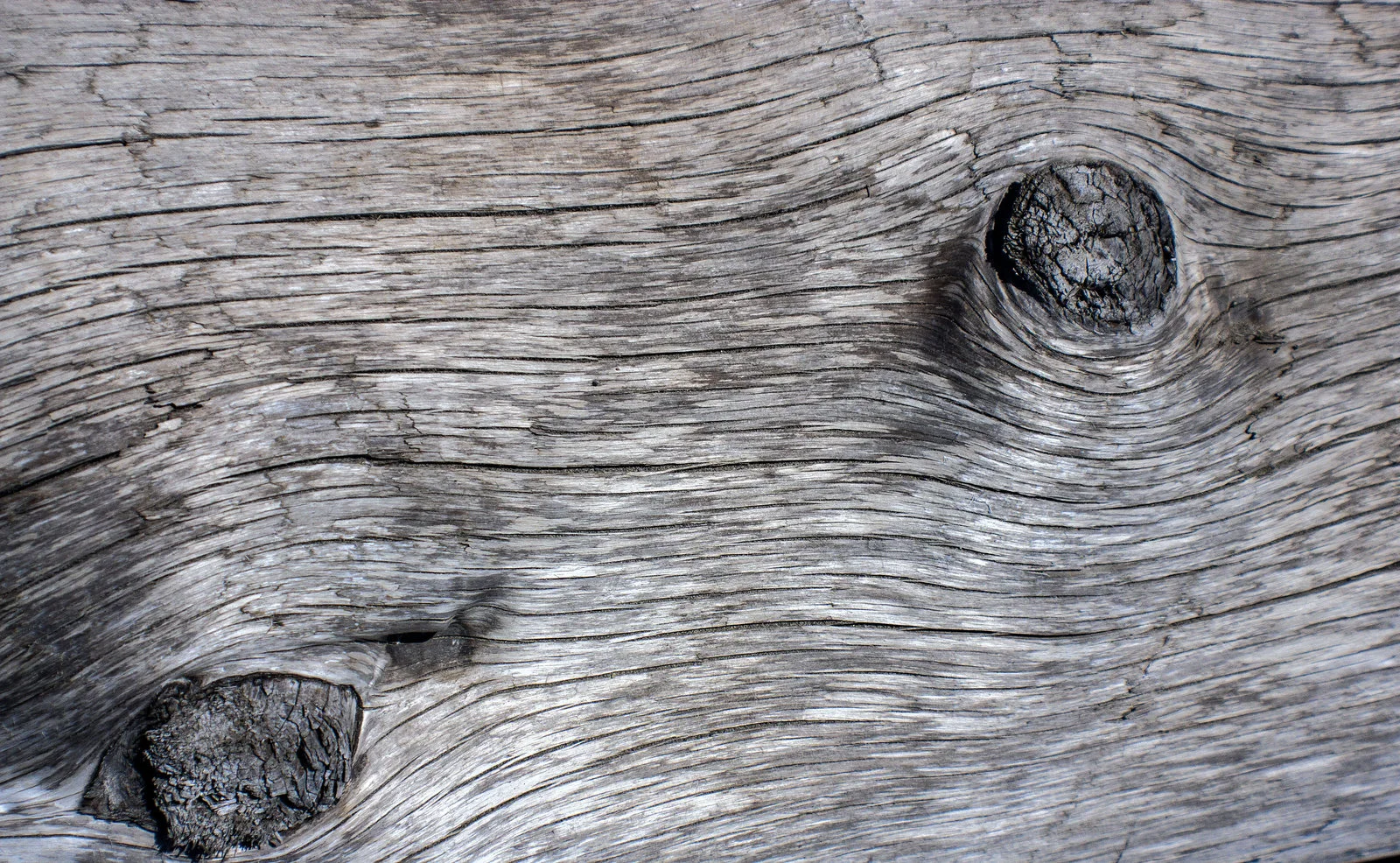 driftwood_texture_13_by_kariloumc-d5h2hu0.jpg