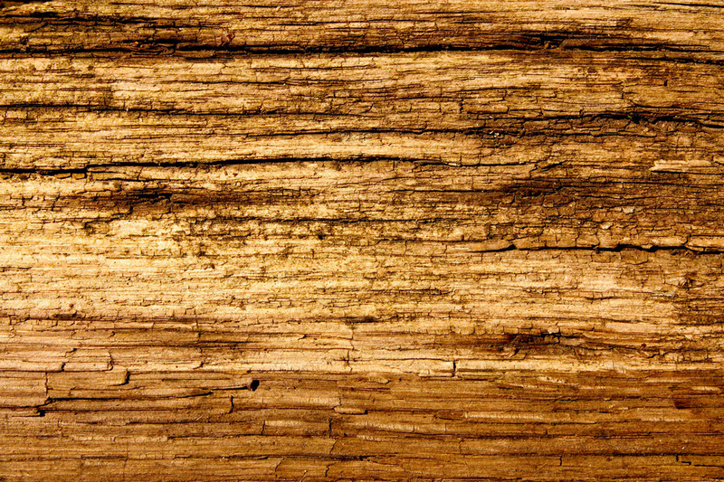 free_wood_texture__4_images-2.png