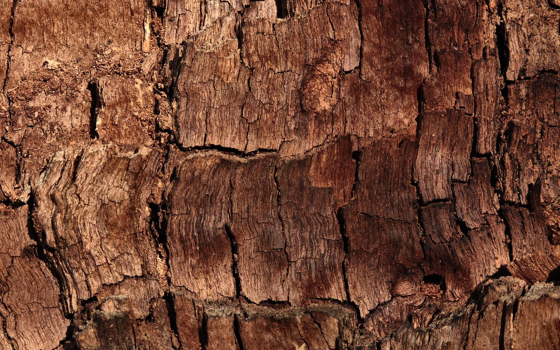 wood-texture.jpg