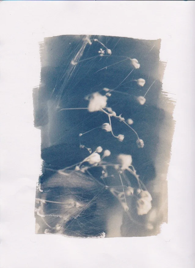 Scan 15.jpeg