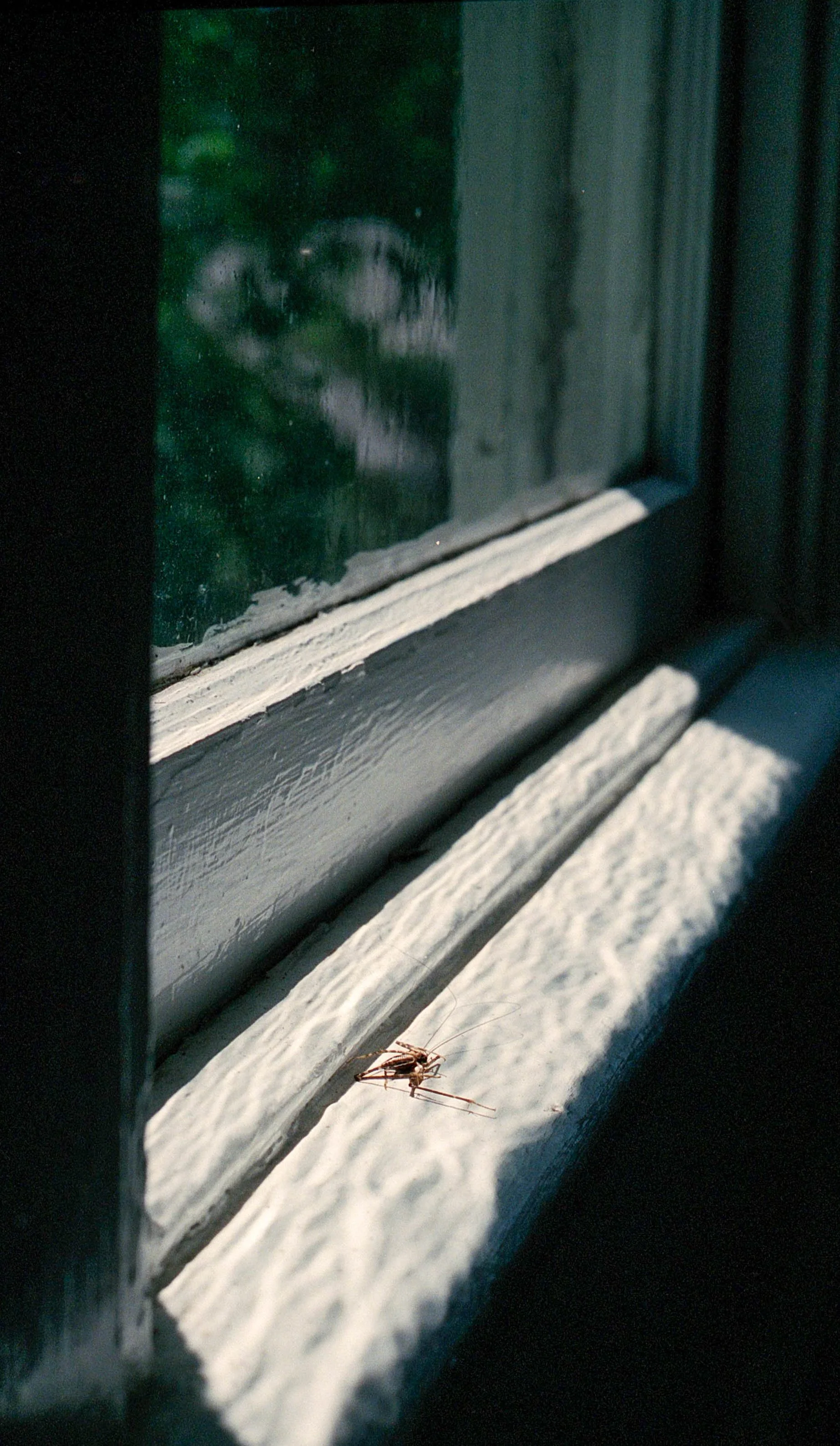 Film Edit-33.jpg
