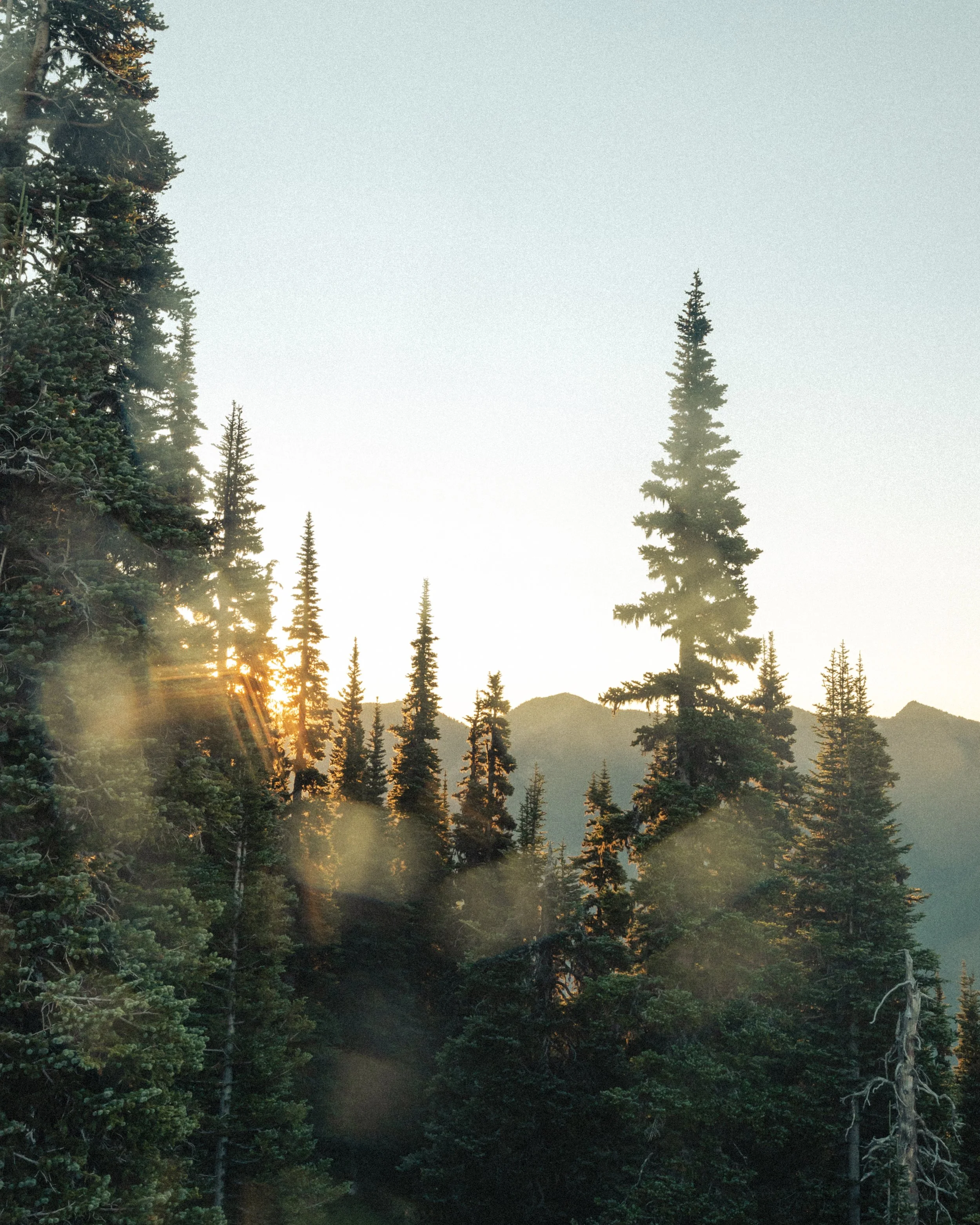 Mt.Rainier_103.jpg