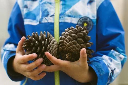Why nature based learning experiences give preschoolers the best start