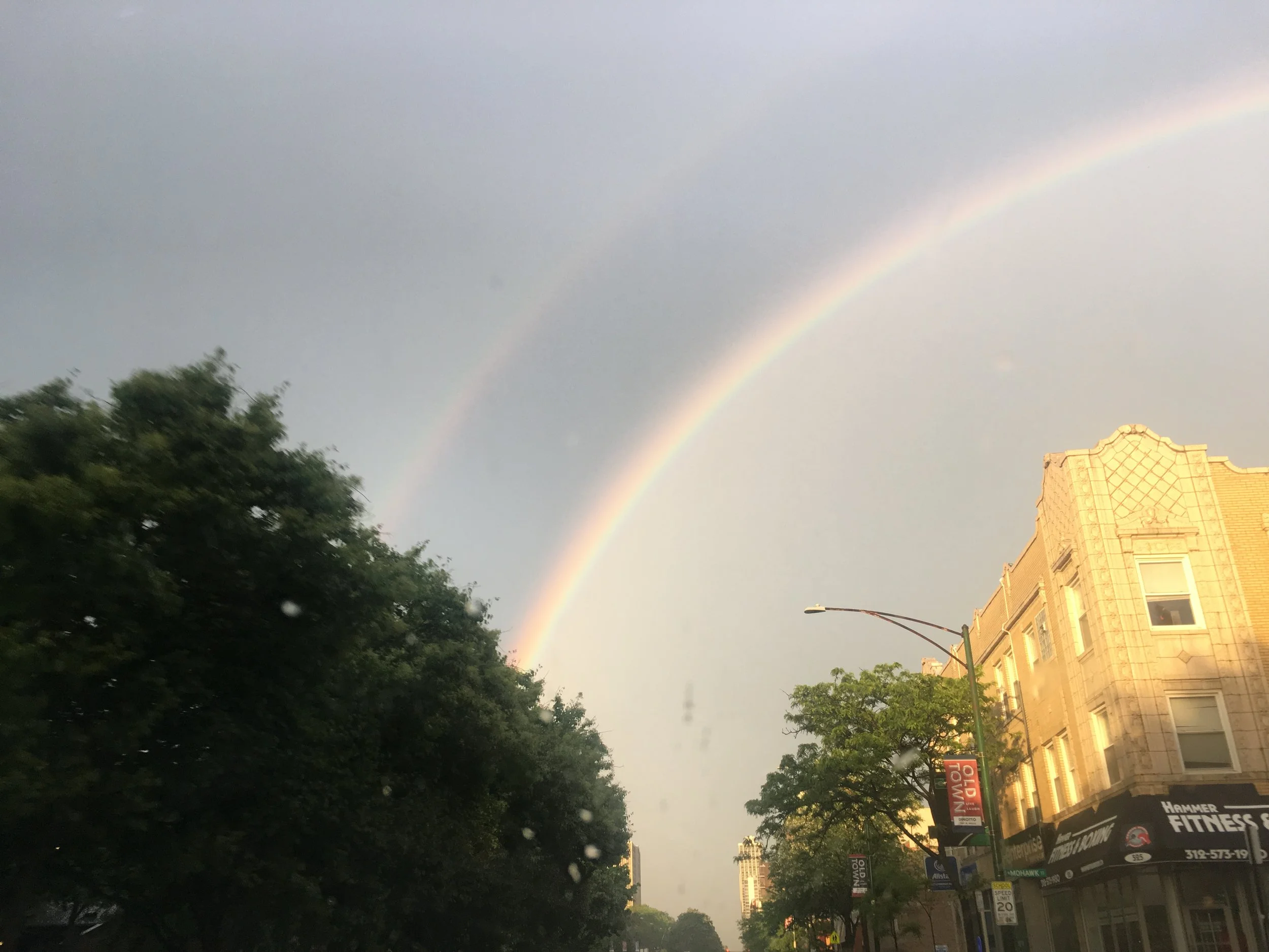 Week 1: Super Hectic