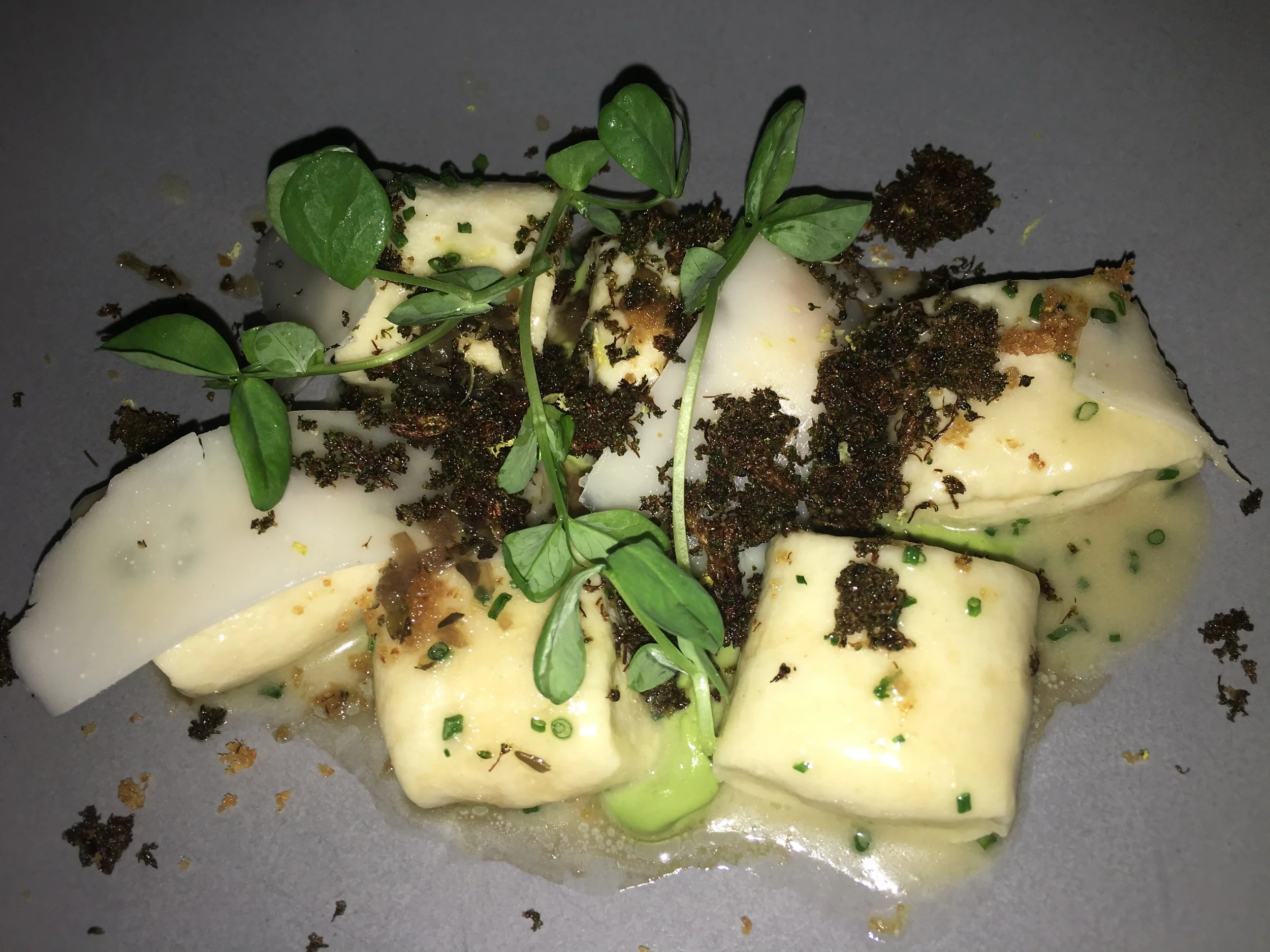 Ricotta Dumplings