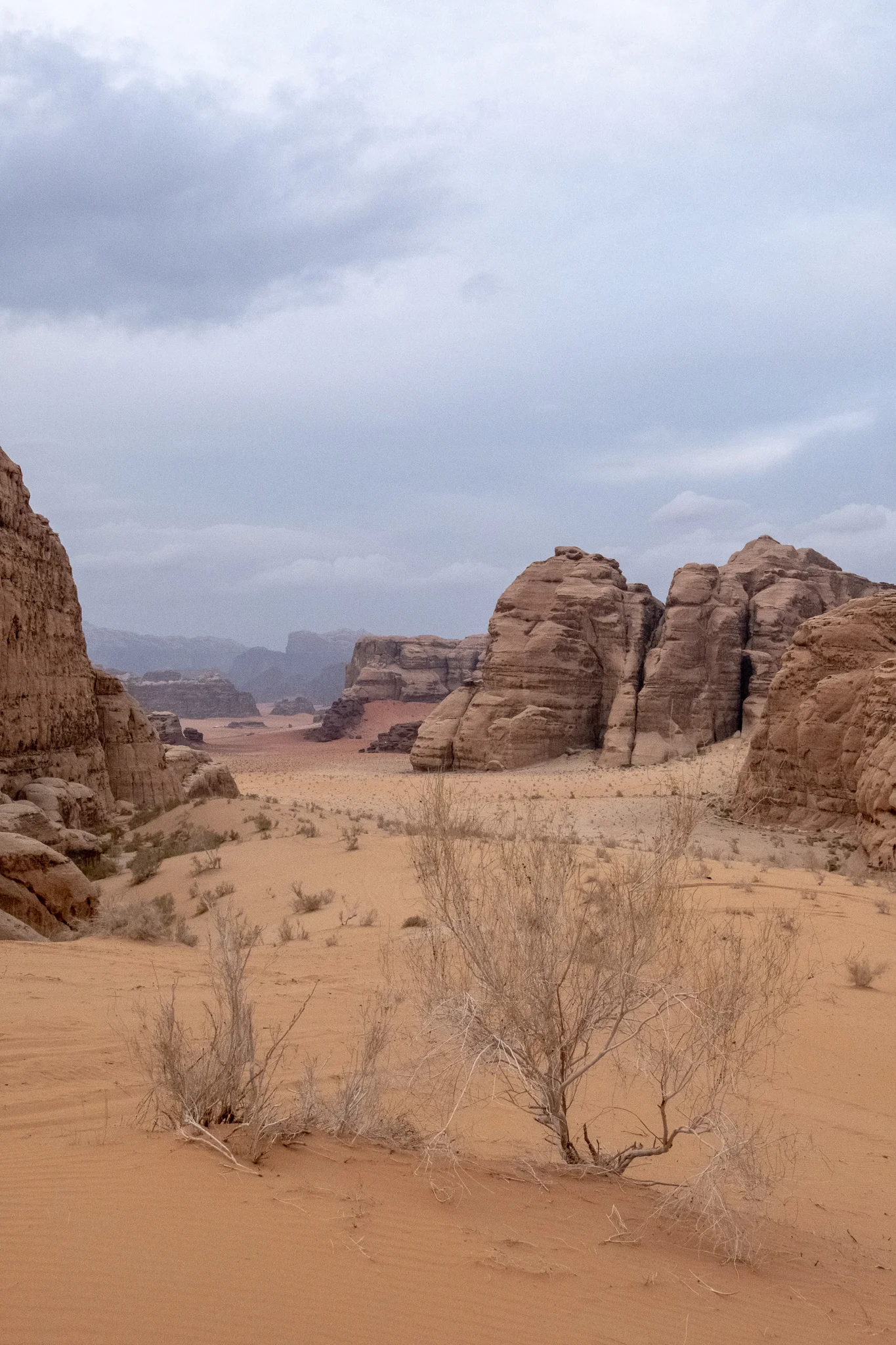 DSCF5125.jpg