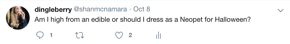 I was in fact, high from an edible. And I actually spent Halloween getting high too. I wasn’t dressed as a neopet.