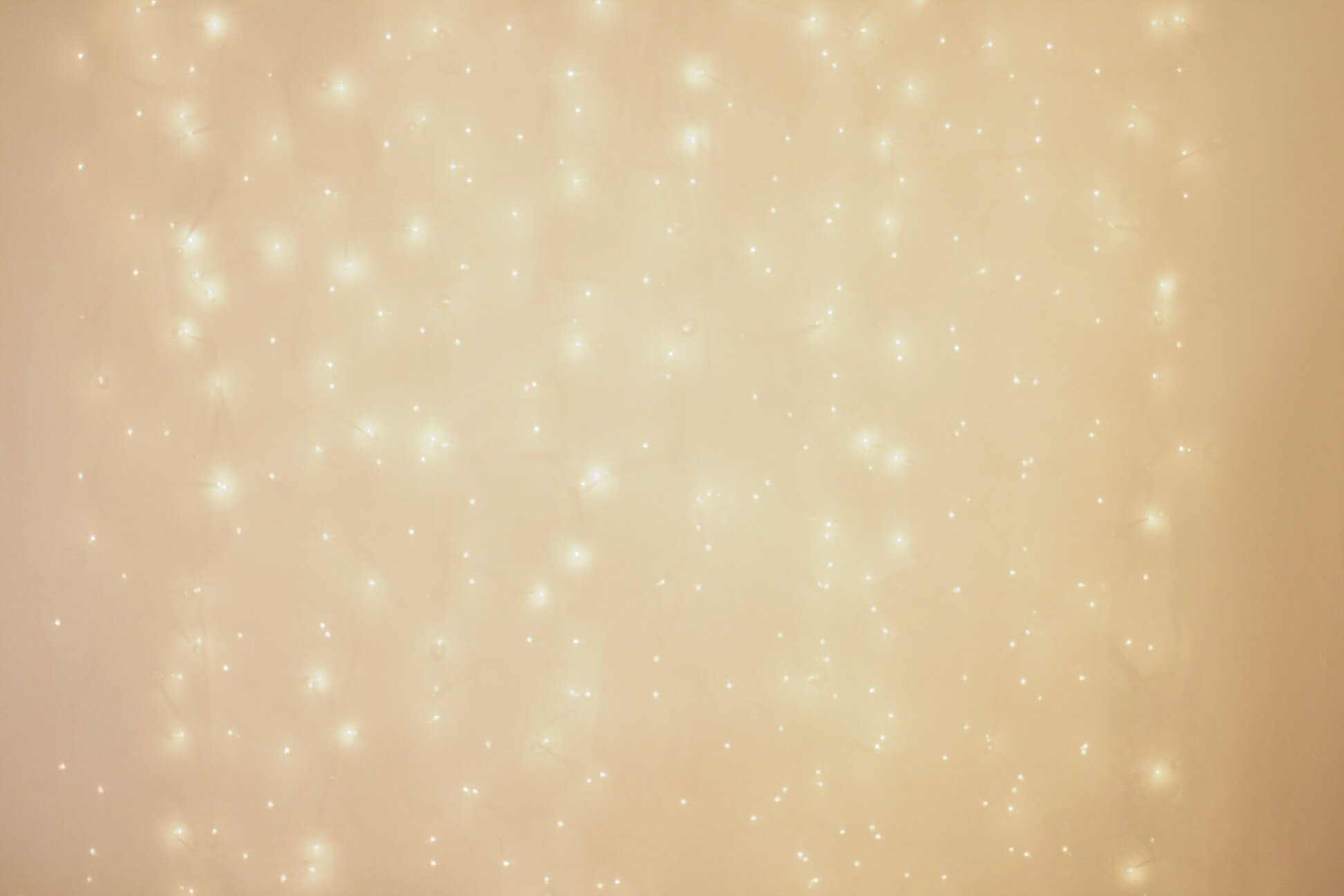 Advent 2 - the courage of Christmas