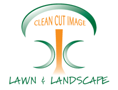 CCI logo.png