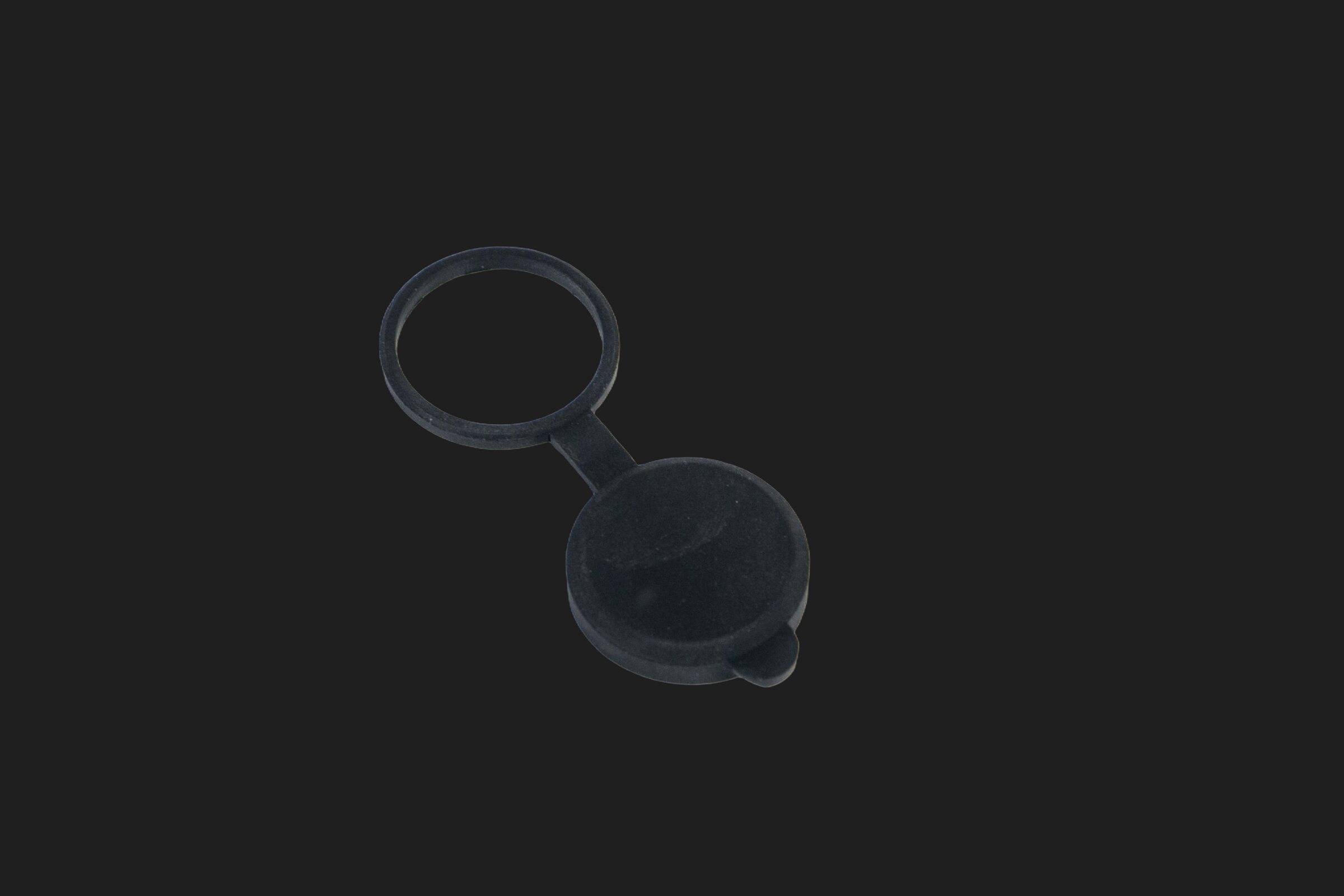 WS10-a.png