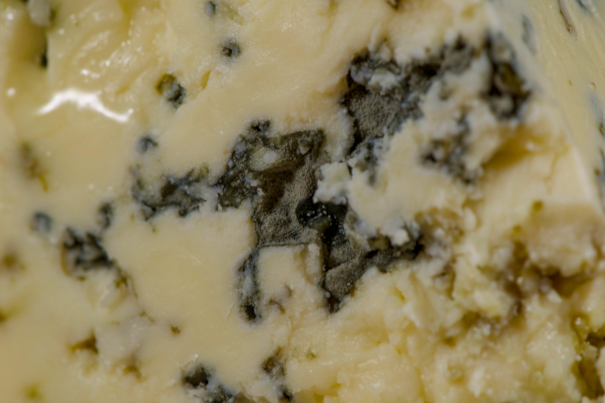 Bay Blue by Point Reyes Cheese