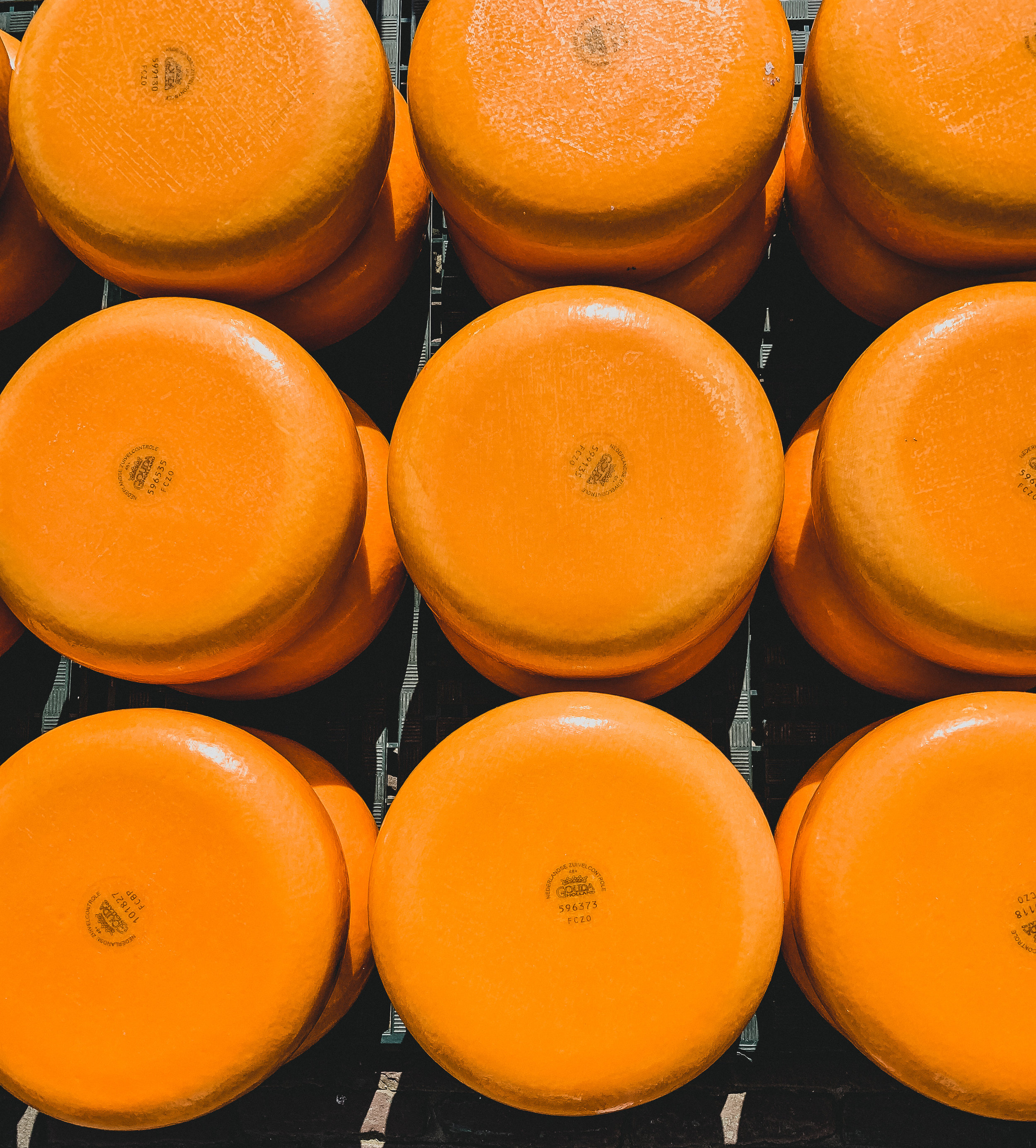 So much Gouda!