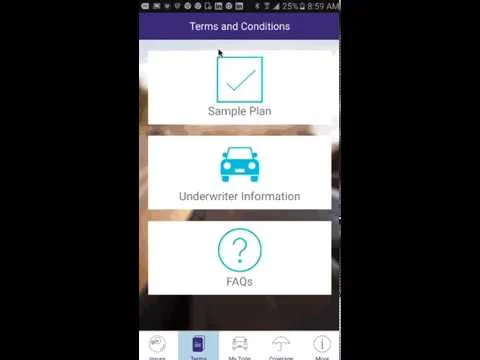Insurance Purchase Application