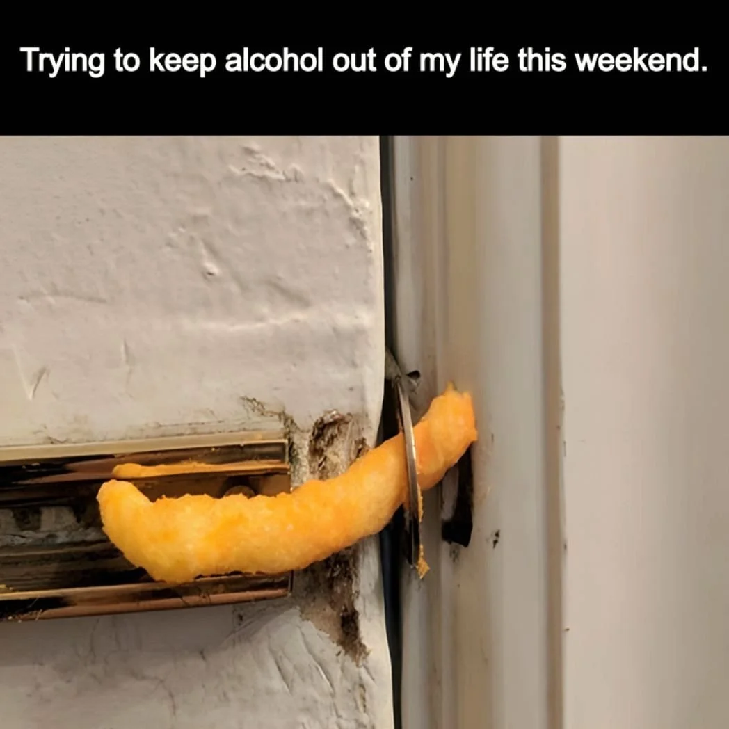 Not Today. Open tonight (&amp; every Sat) @ 8pm - $5 &amp; your first drink or shot is on us! Moose members receive a drink special every night we're open!⁠
⁠
Follow us for the latest updates and specials!⁠
⁠
Always 21+⁠
#staythirsty