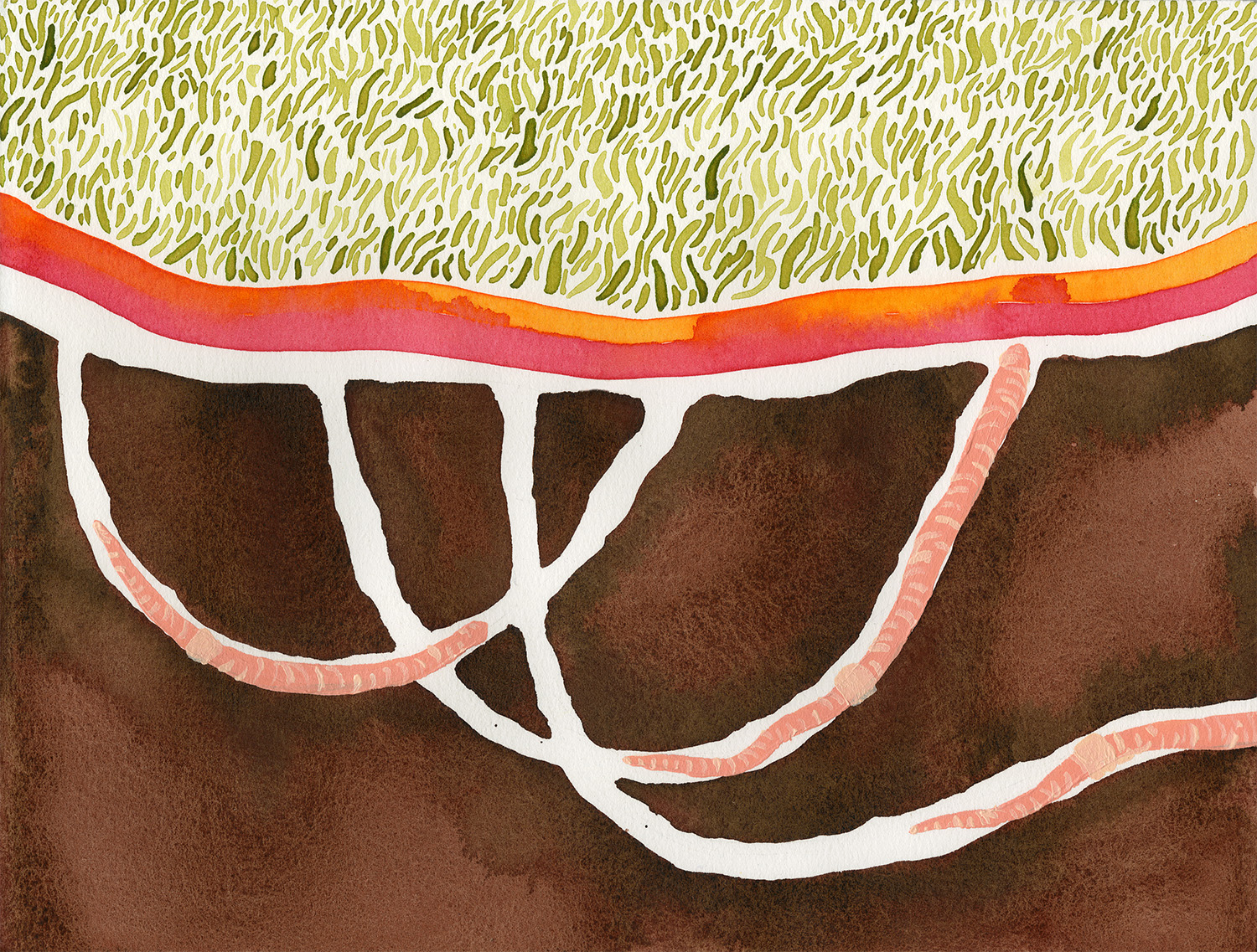 banner001.jpg
