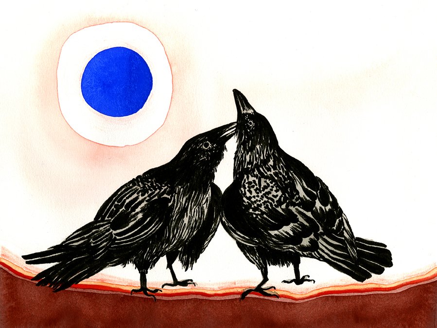 crows001.jpg