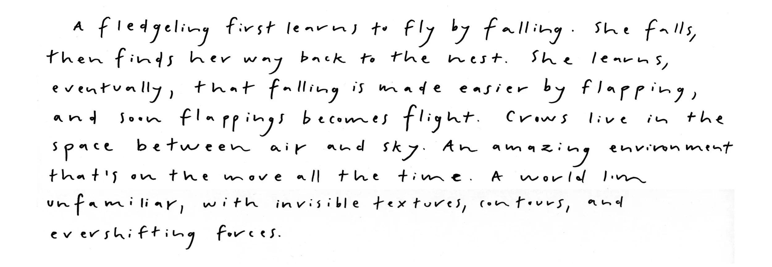 page_07.jpg