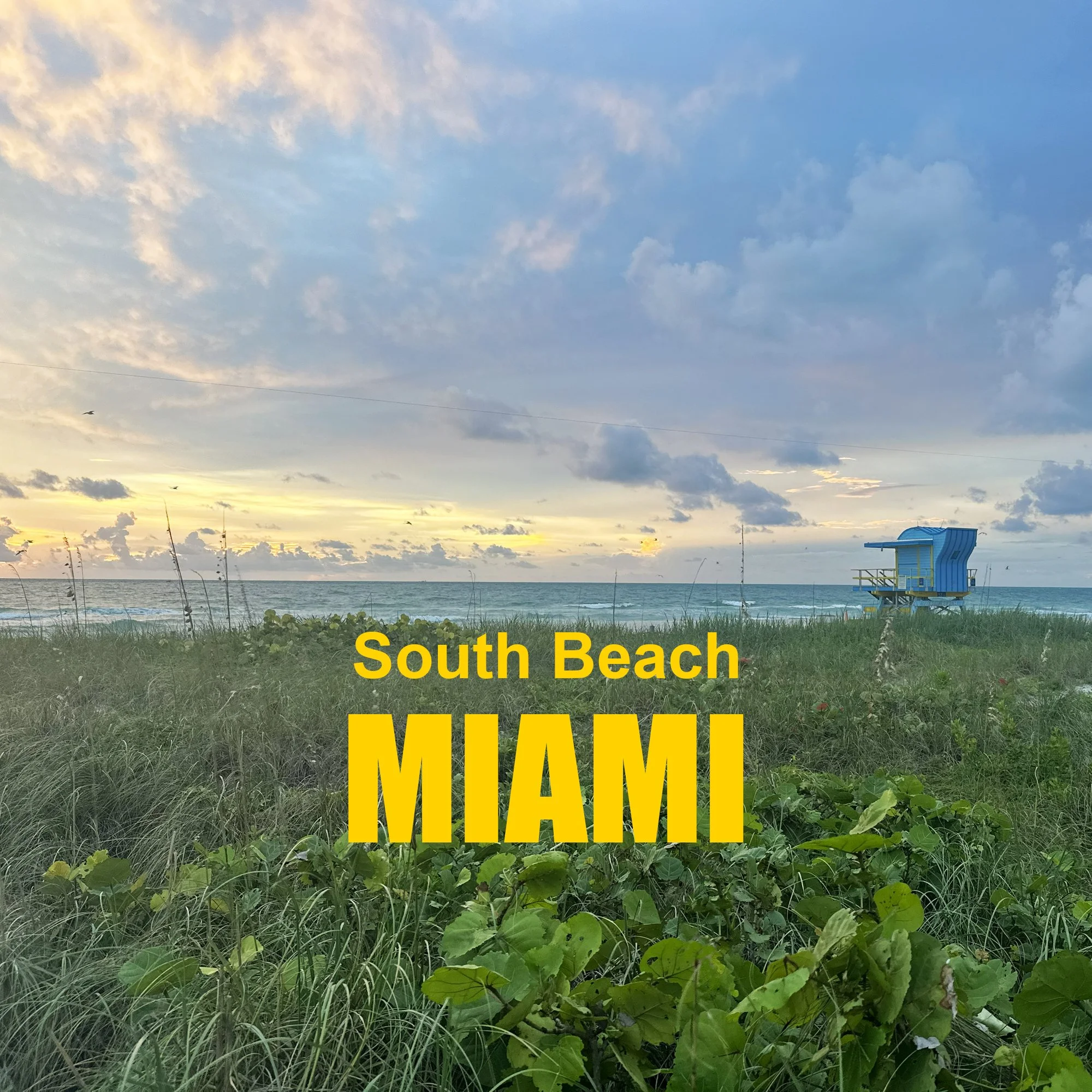 Miami.jpg