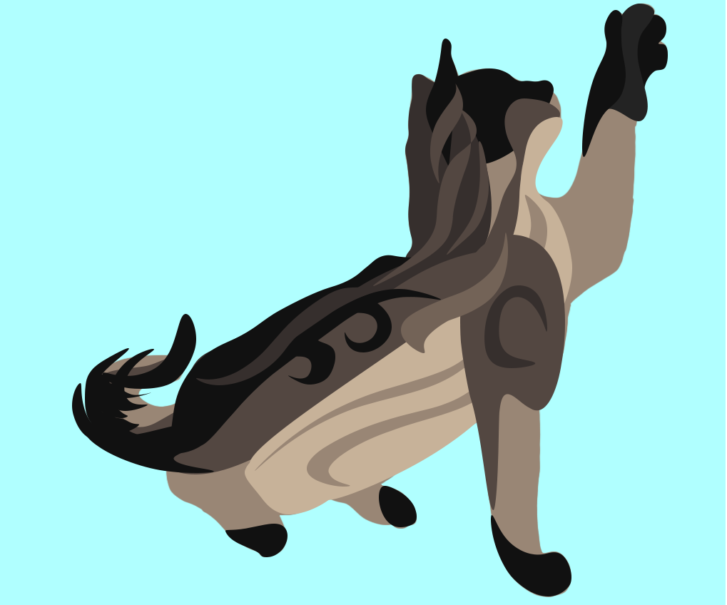 kaia.png