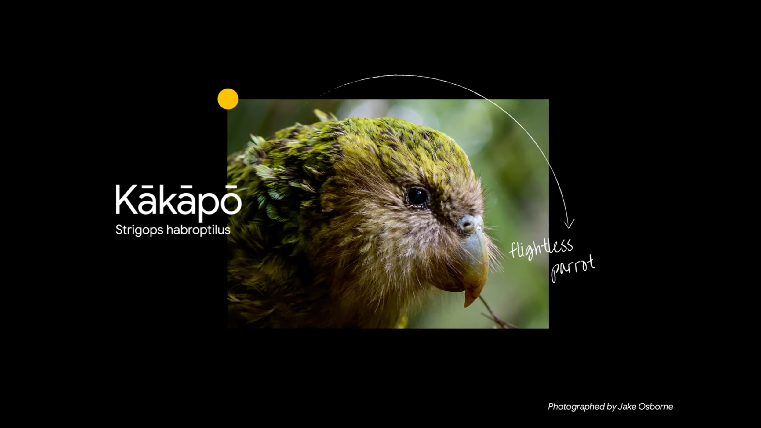 Decoding Life on Earth | Google and the Earth Biogenome Project