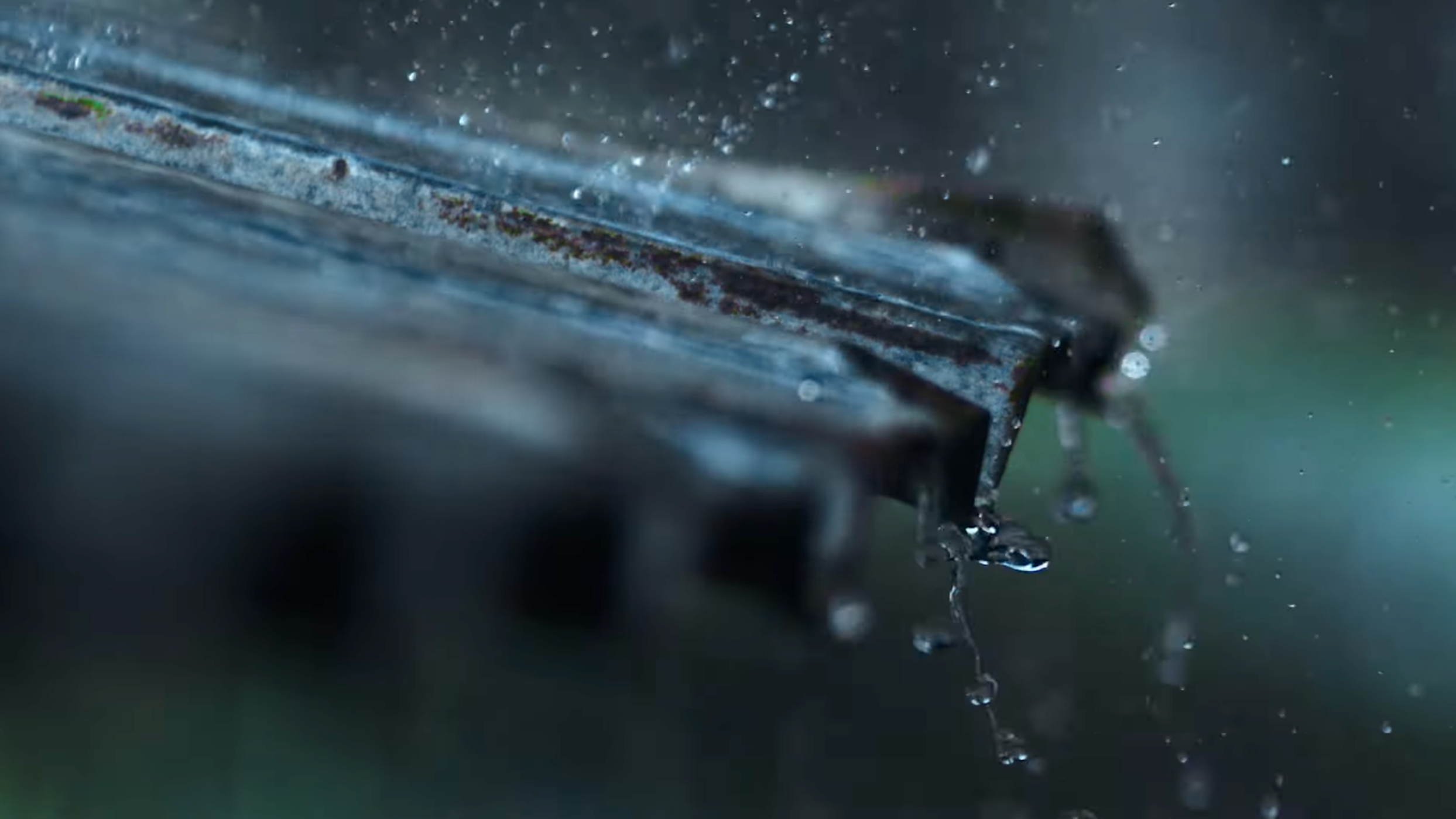 Before Rivers Rise | Using AI to Make Global Flood Forecasts