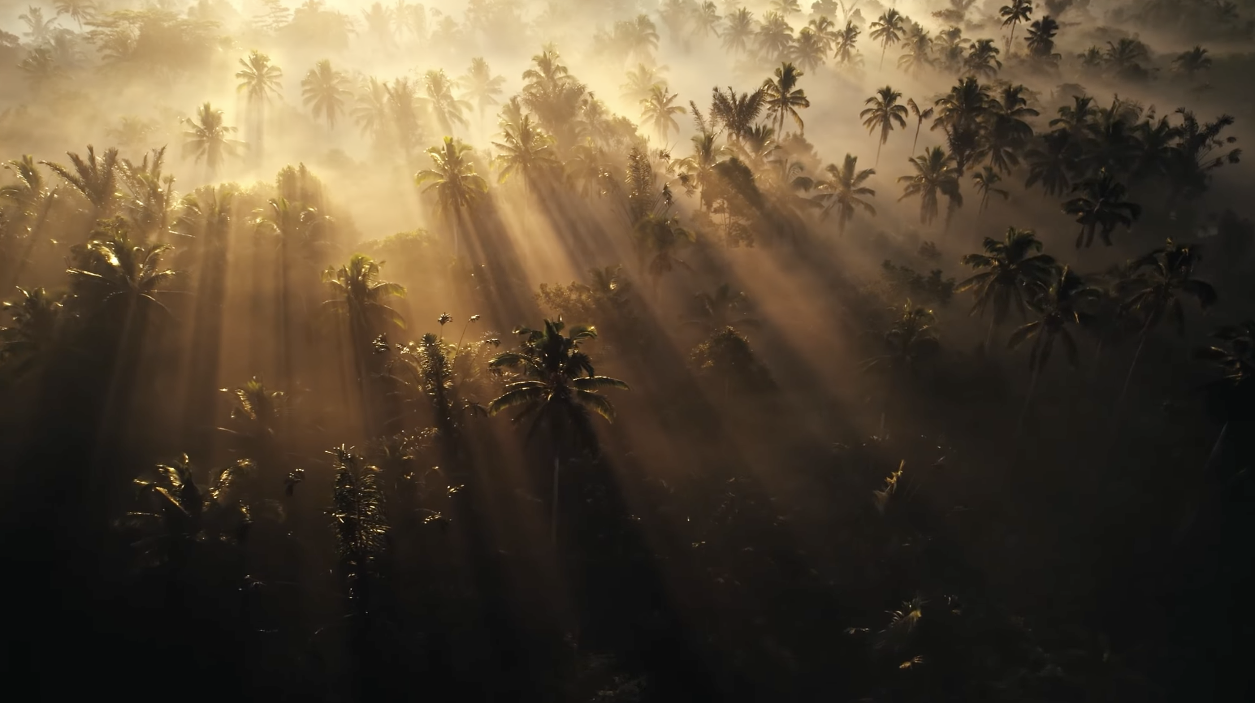 Screenshot 2026-01-10 at 8.09.58 PM.png