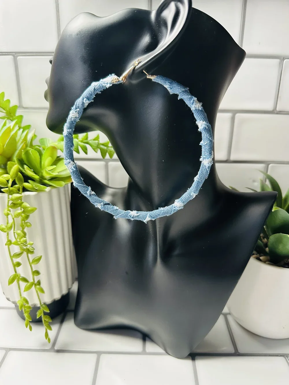 IMG_2179.webp (Copy)