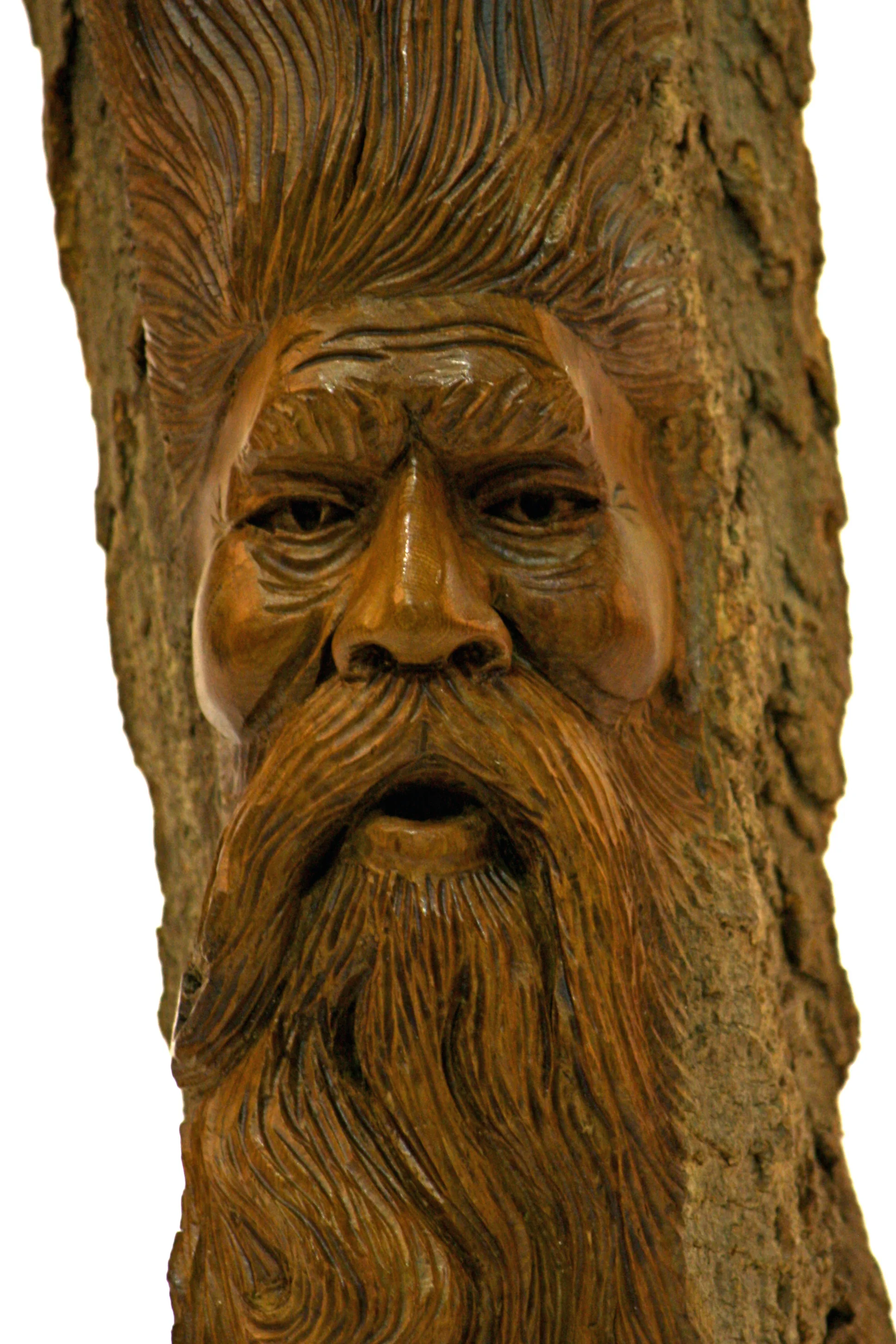 Bark Face by Frank Abate