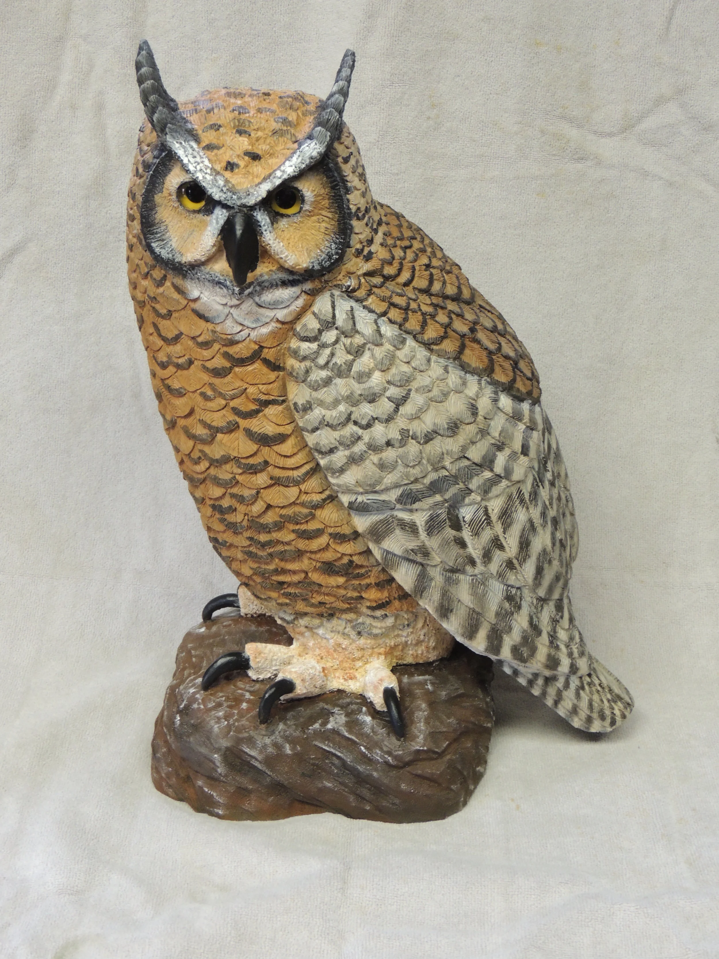 "Owl" by Rich Molinari