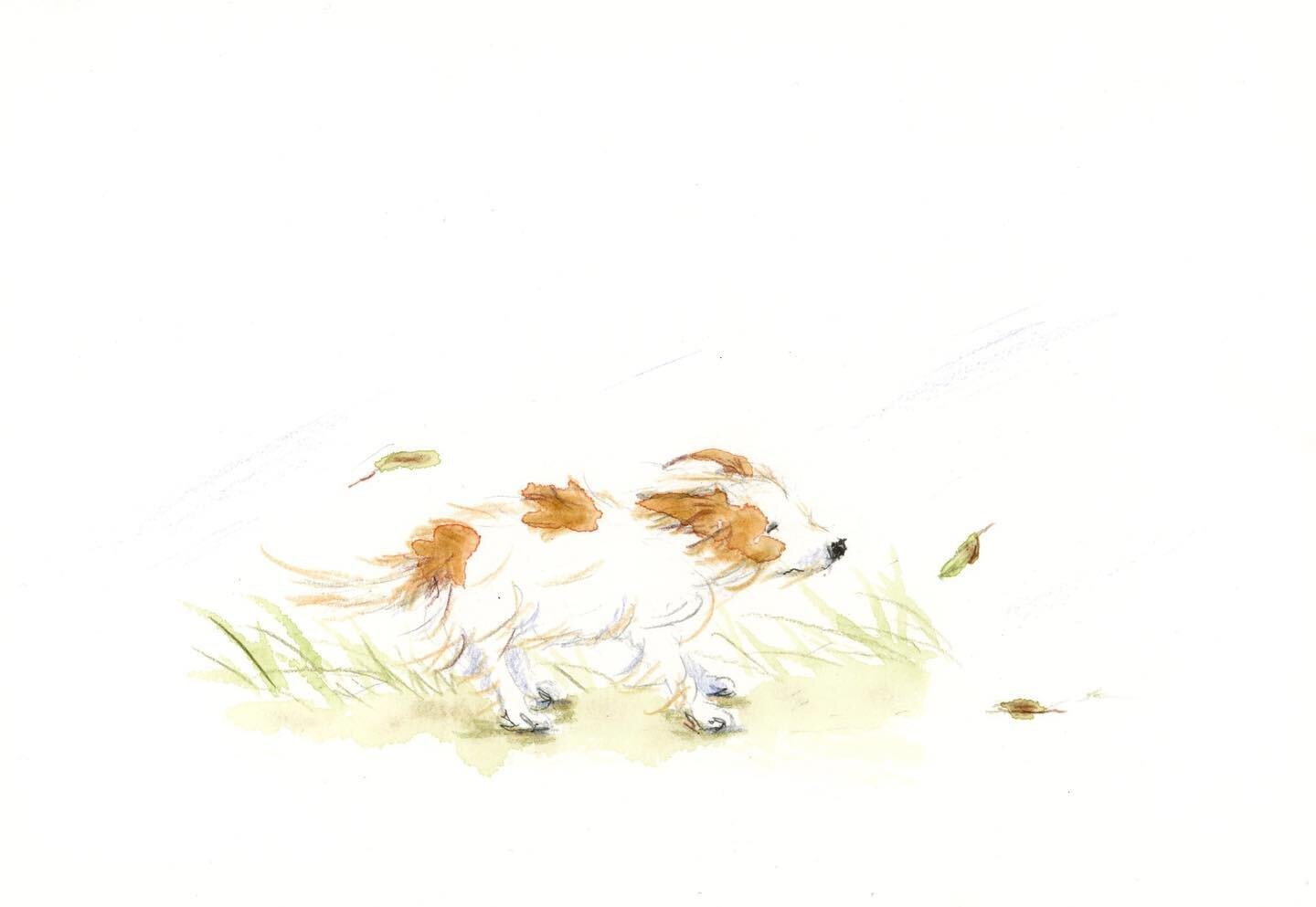 Battling on 💨 

#windyday #windydaysketch #dogillustration