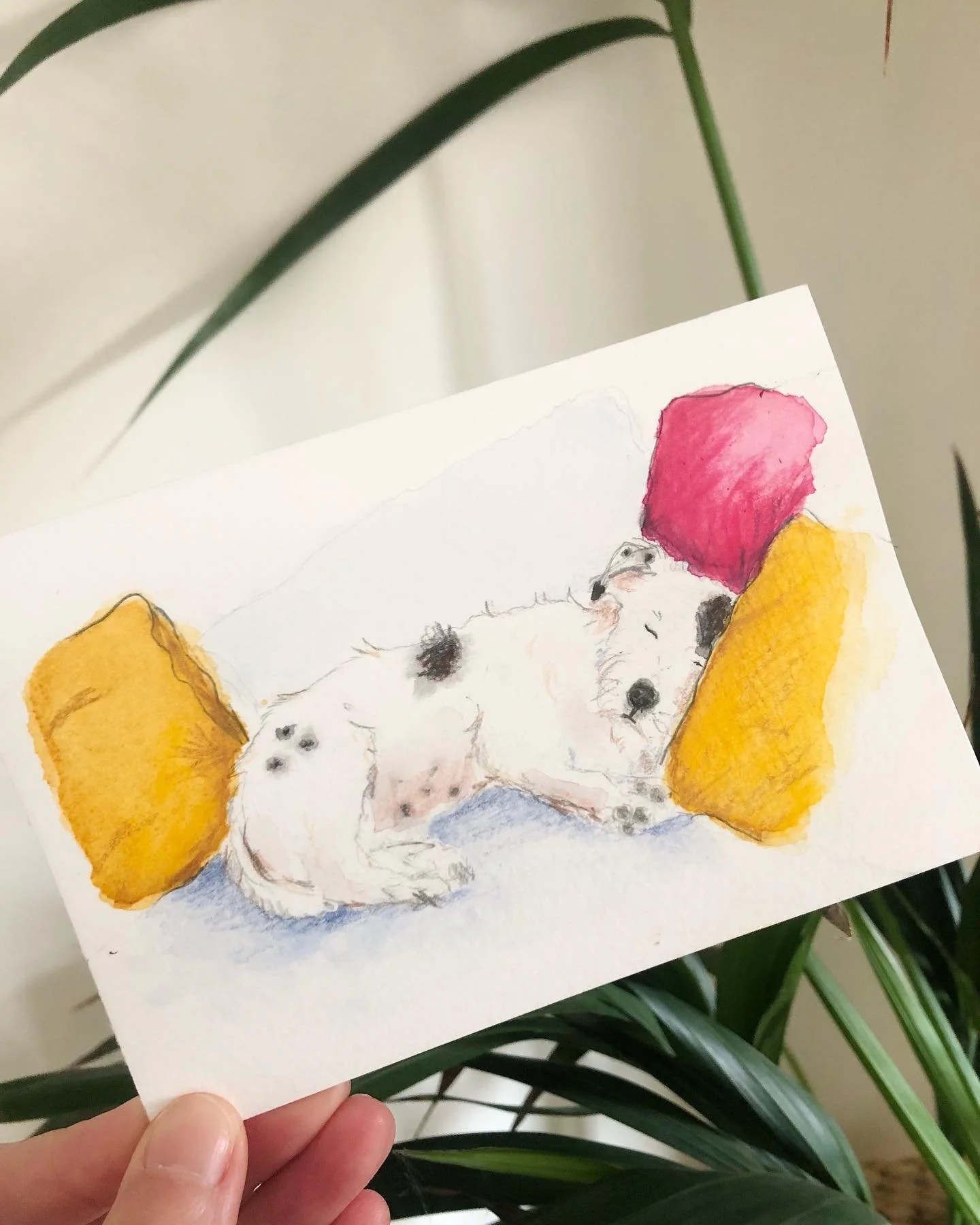 Sleepy dog sketch - reminds me of the power of a good sleep and one of my favourite quotes that &ldquo;the morning is wiser than the evening&rdquo; (from the Russian folk tale of Vasilisa). Sweet dreams 💤 😴 

#sleepydog #sleepydoggo #sweetdreams #d