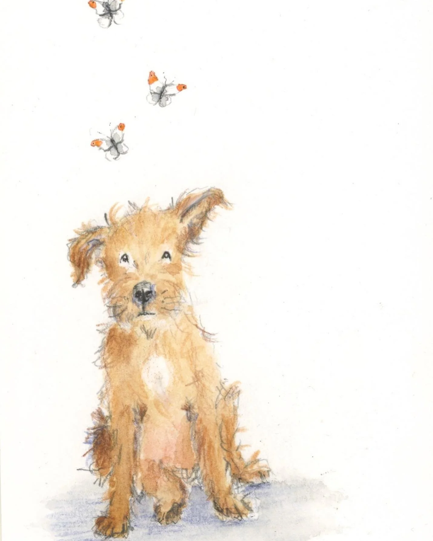 Happy solstice ☀️ loads of butterflies about today 

#summersolstice #dogsandbutterflies #summerdogs #summerart #summersketch  #dogart #smallcreaturesstudio #dogillustration