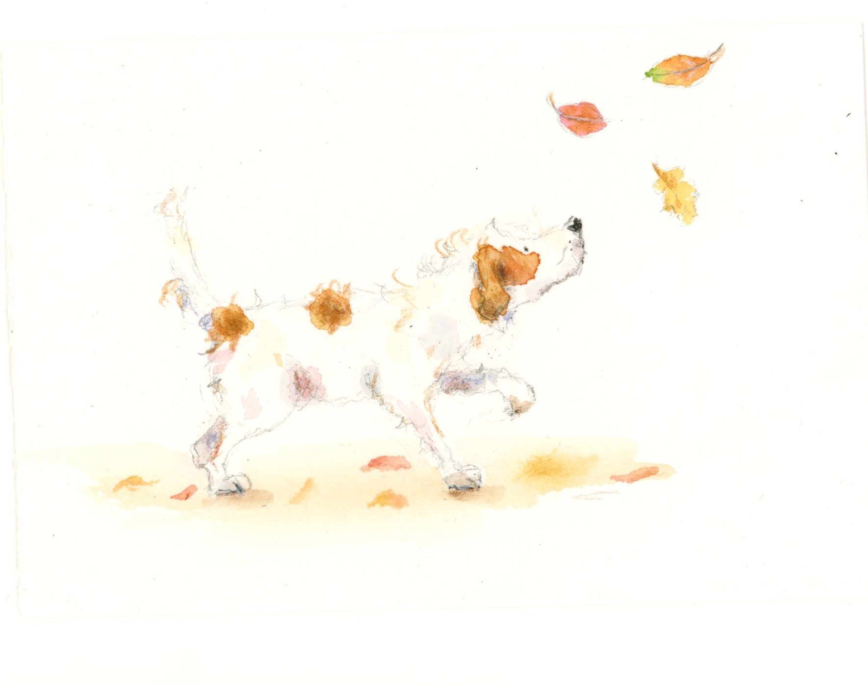 Autumn 