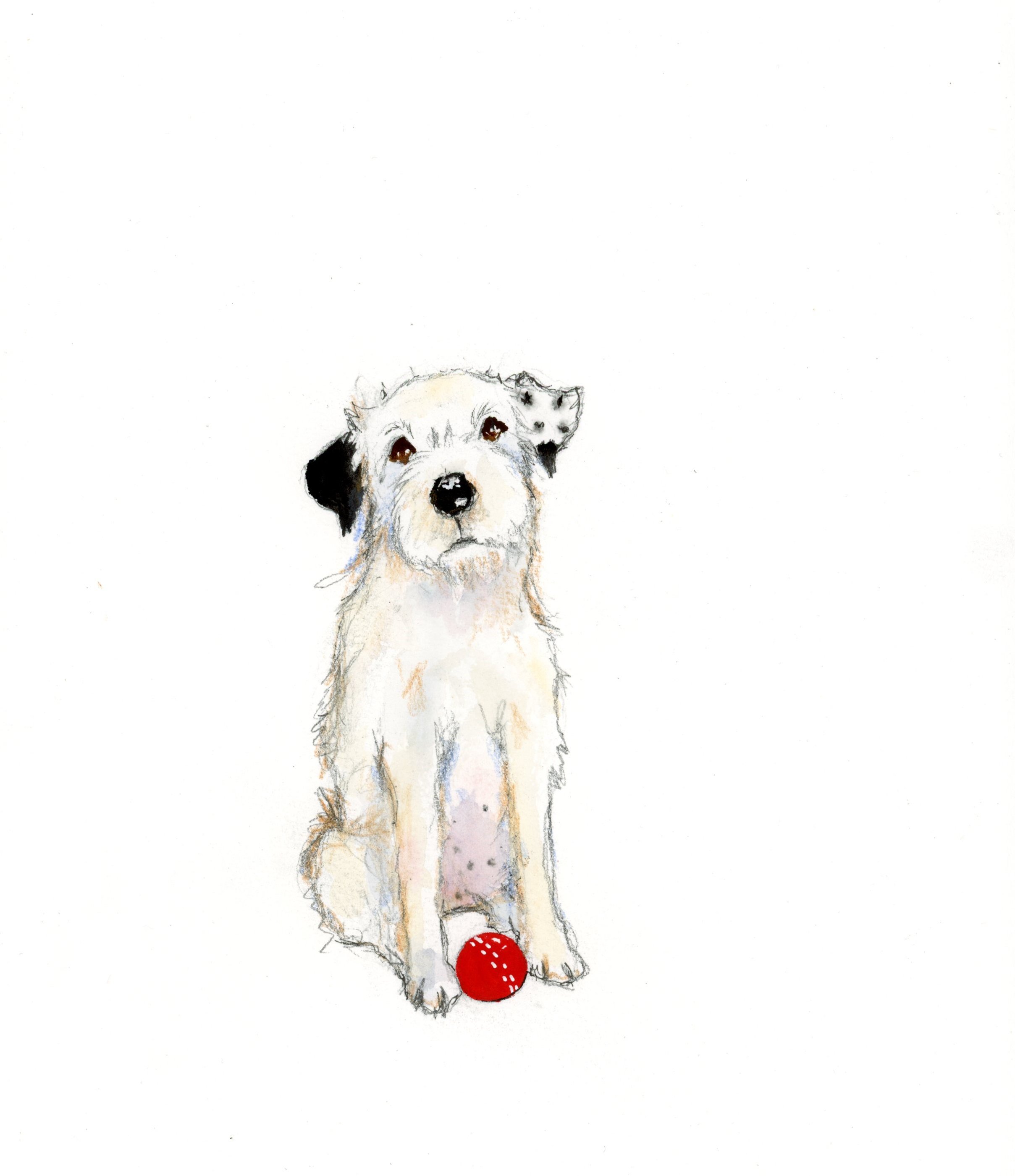 BALL1.jpg