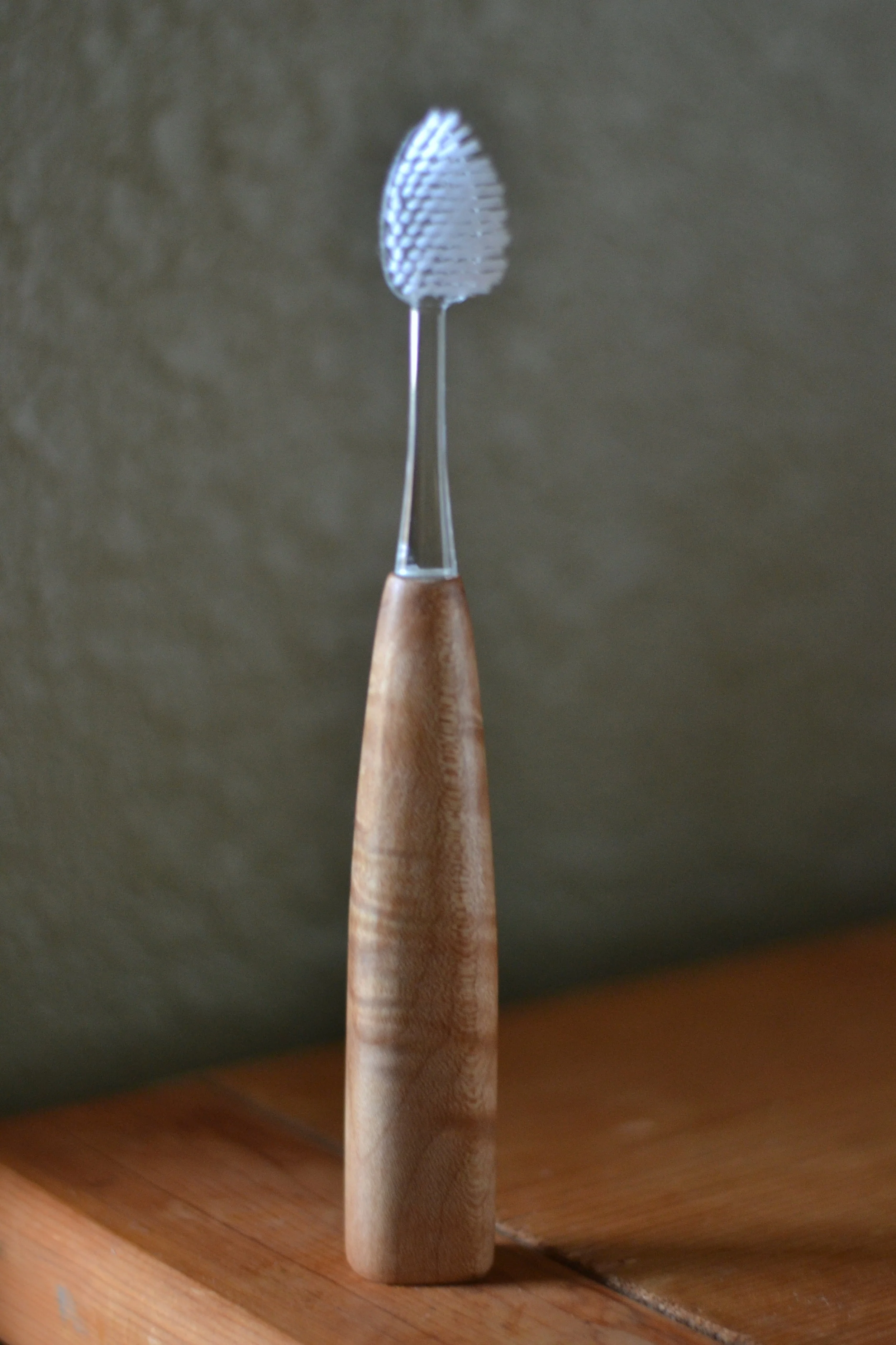 Tooth Brush 1.JPG