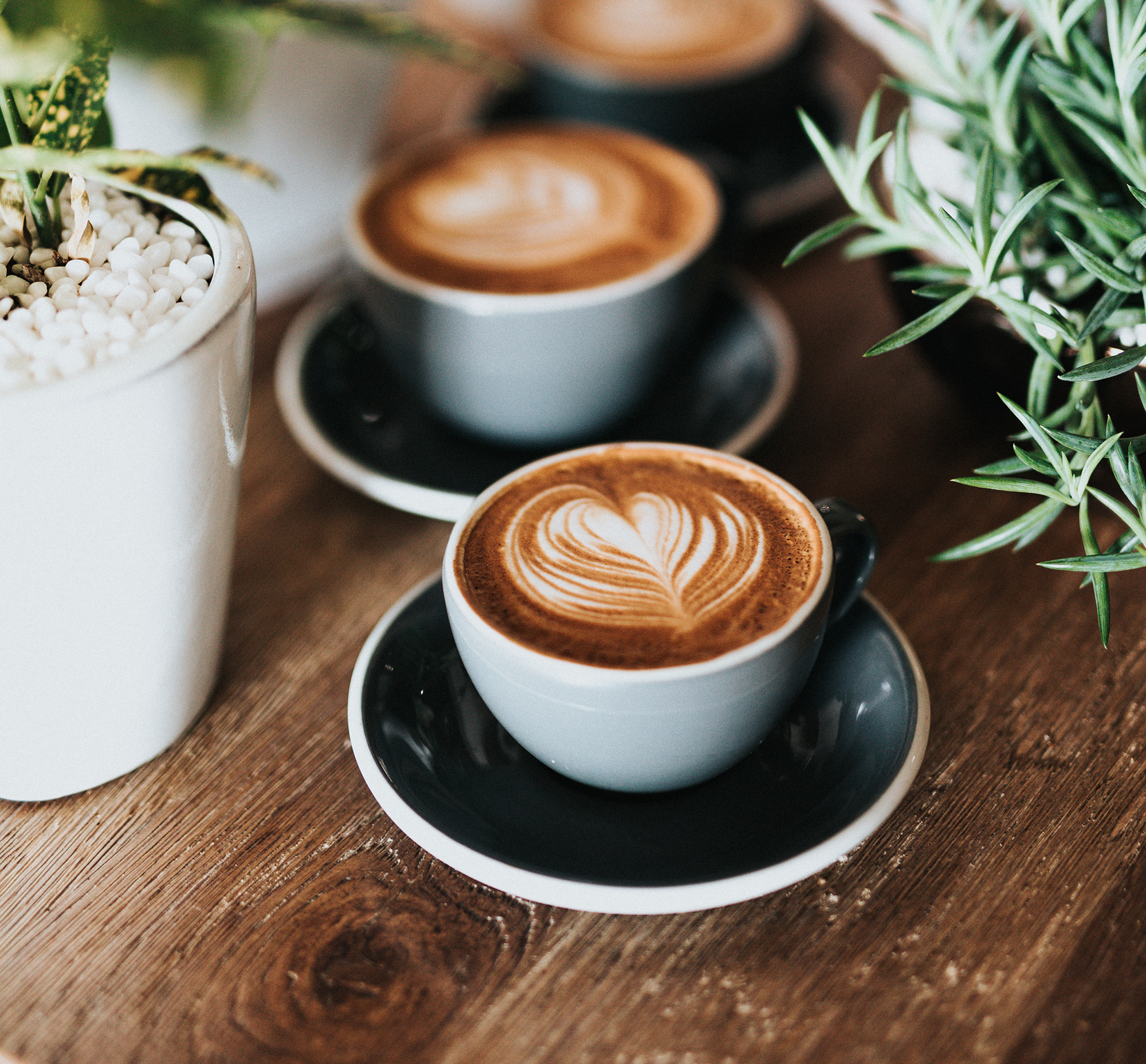 squarecoffees.jpg
