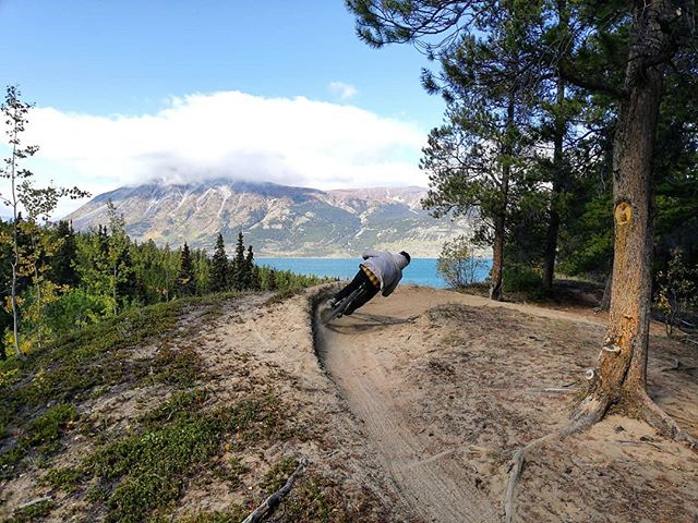 A beautiful day to rip in Carcross!
#cometomyyukon #iamspecialized #stumpyevo #tourismyukon #rideyukon #ridecarcross #exploreyukon #carcross #mtb #mtblife
#montanamountain