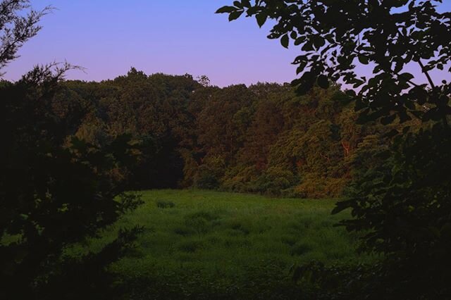 I was outside but felt like I was in a planetarium show just as they were dimming the lights