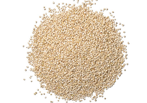 quinoa seed 1.jpg