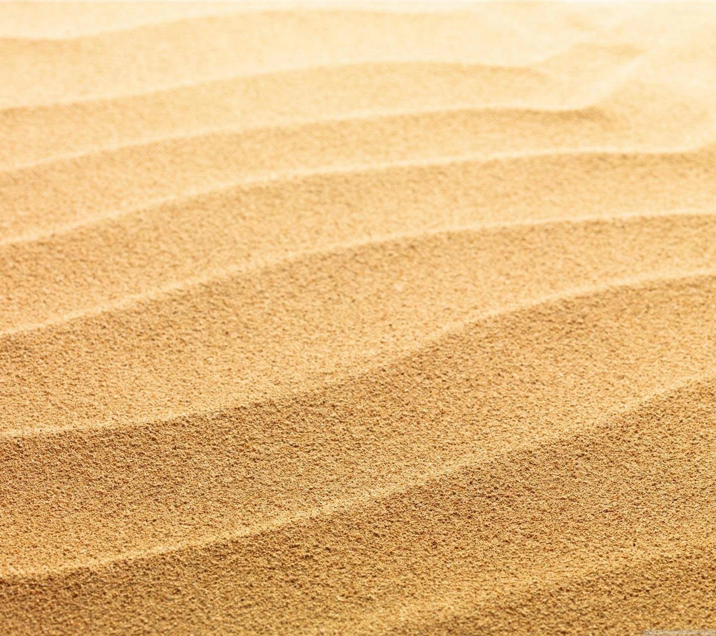 SAND.jpg