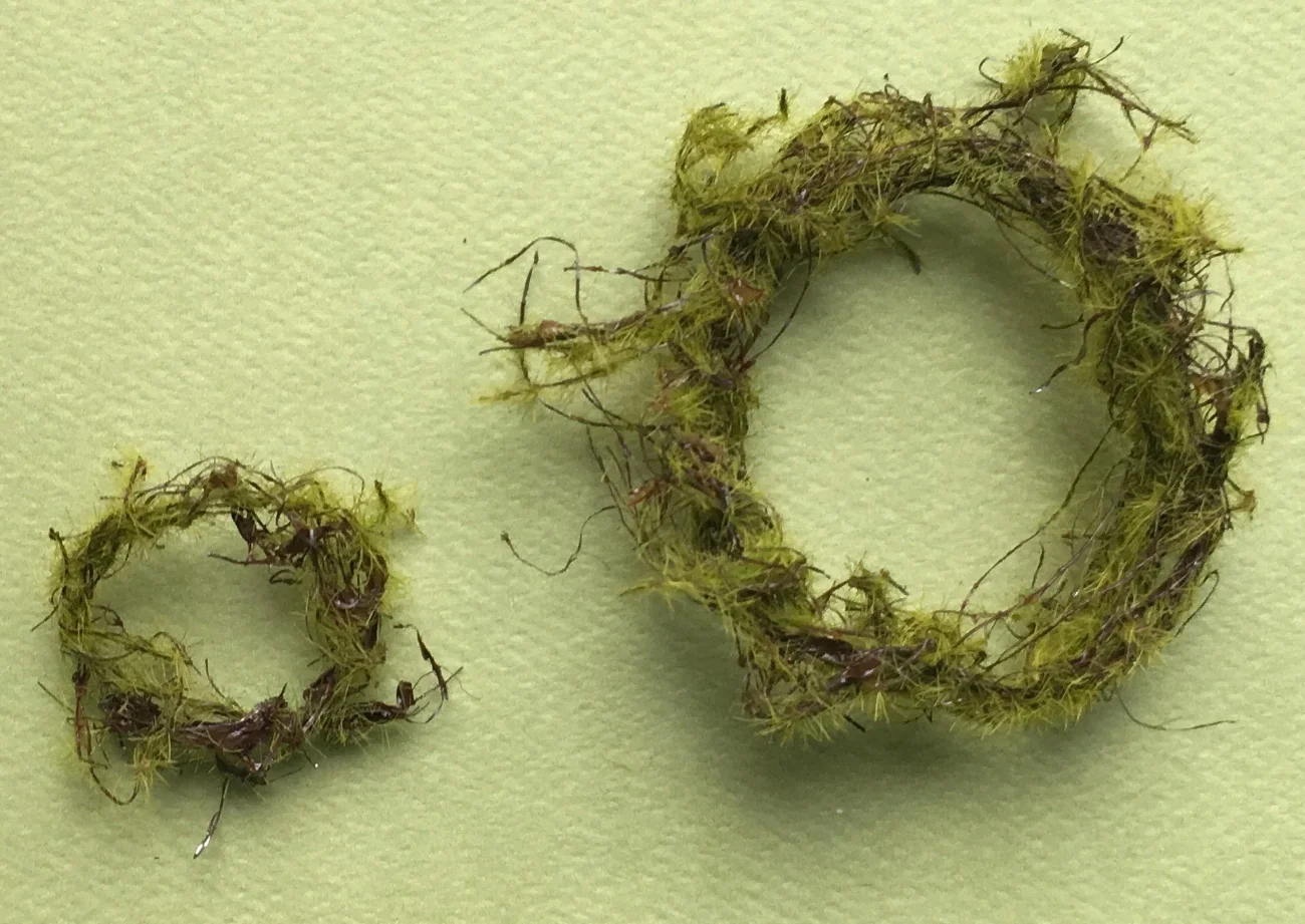 A 1:24 and 1:12 wreath