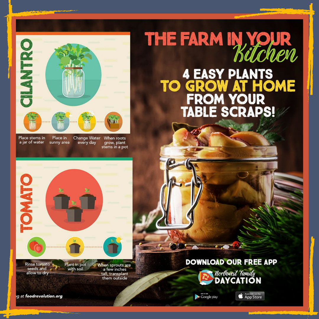 The Farm in Your Kitchen