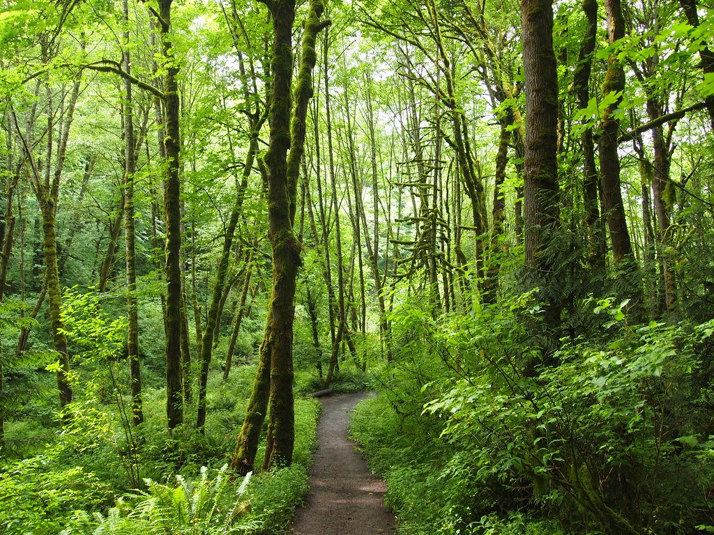 SW Portland, Tryon Creek Natural Area