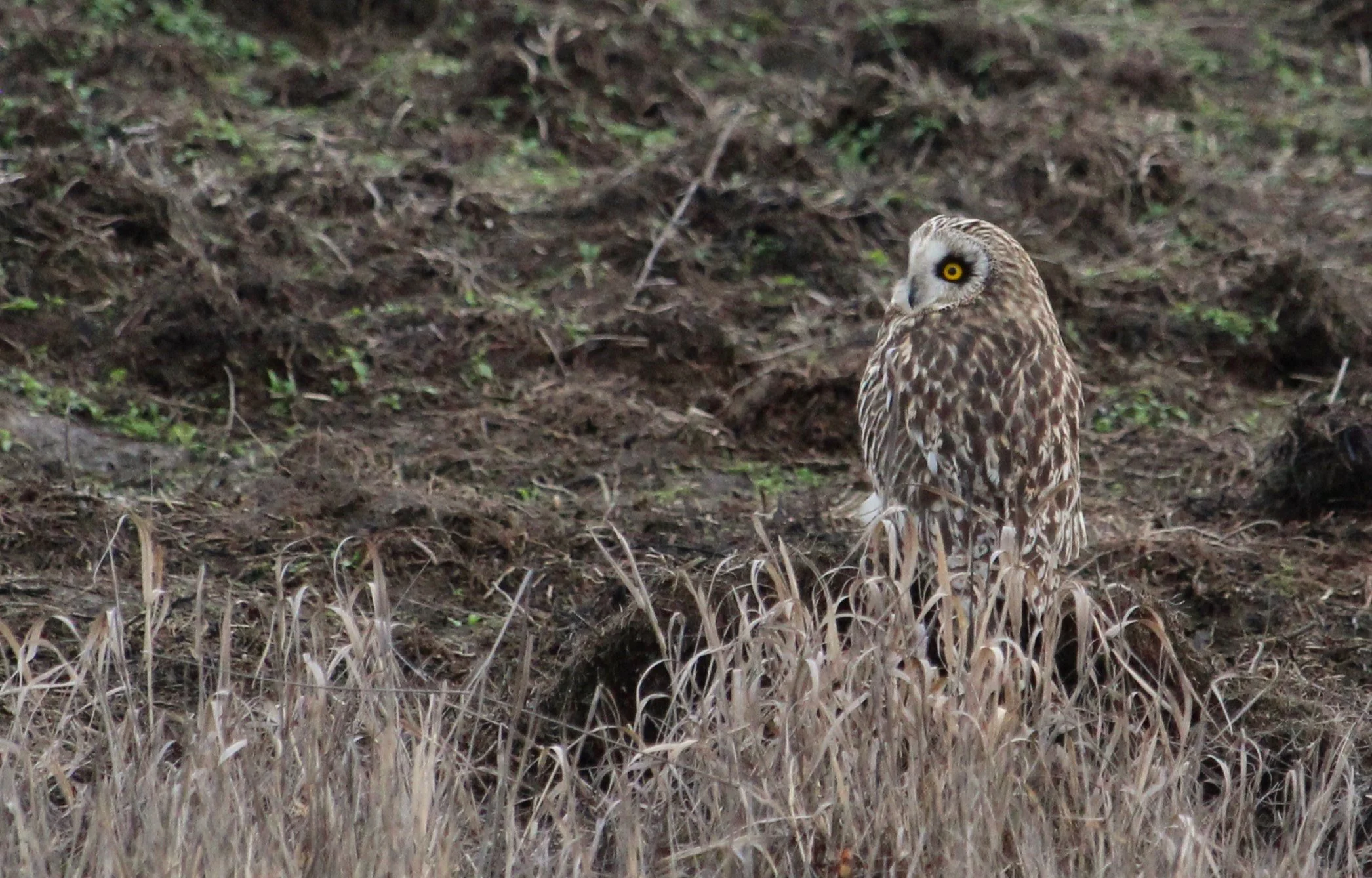 My Favorite Ridgefield Experiences