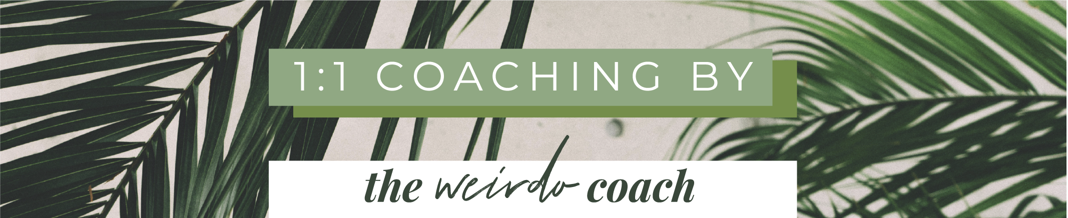 1-1 coaching banner-09.png