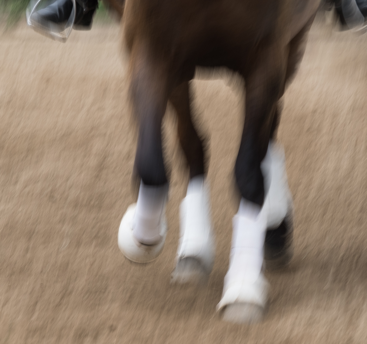 Hoofing it 2 sq.png