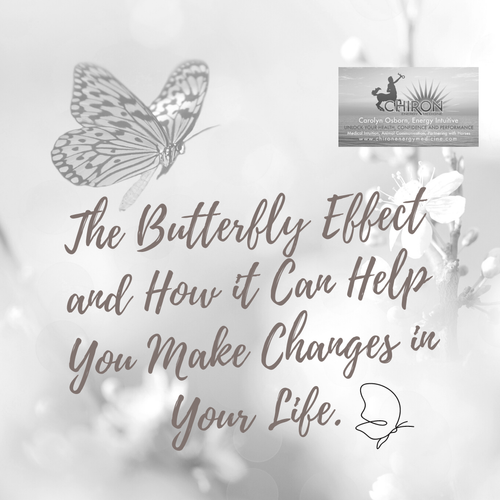 The Butterfly Effect and How it Can Help You Make Changes in Your Life ...